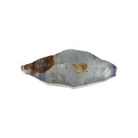 16.45 Ct. Greyish Blue Sapphire Crystal from Ceylon (Sri Lanka) Video