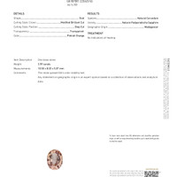 Jewelry Scan Report