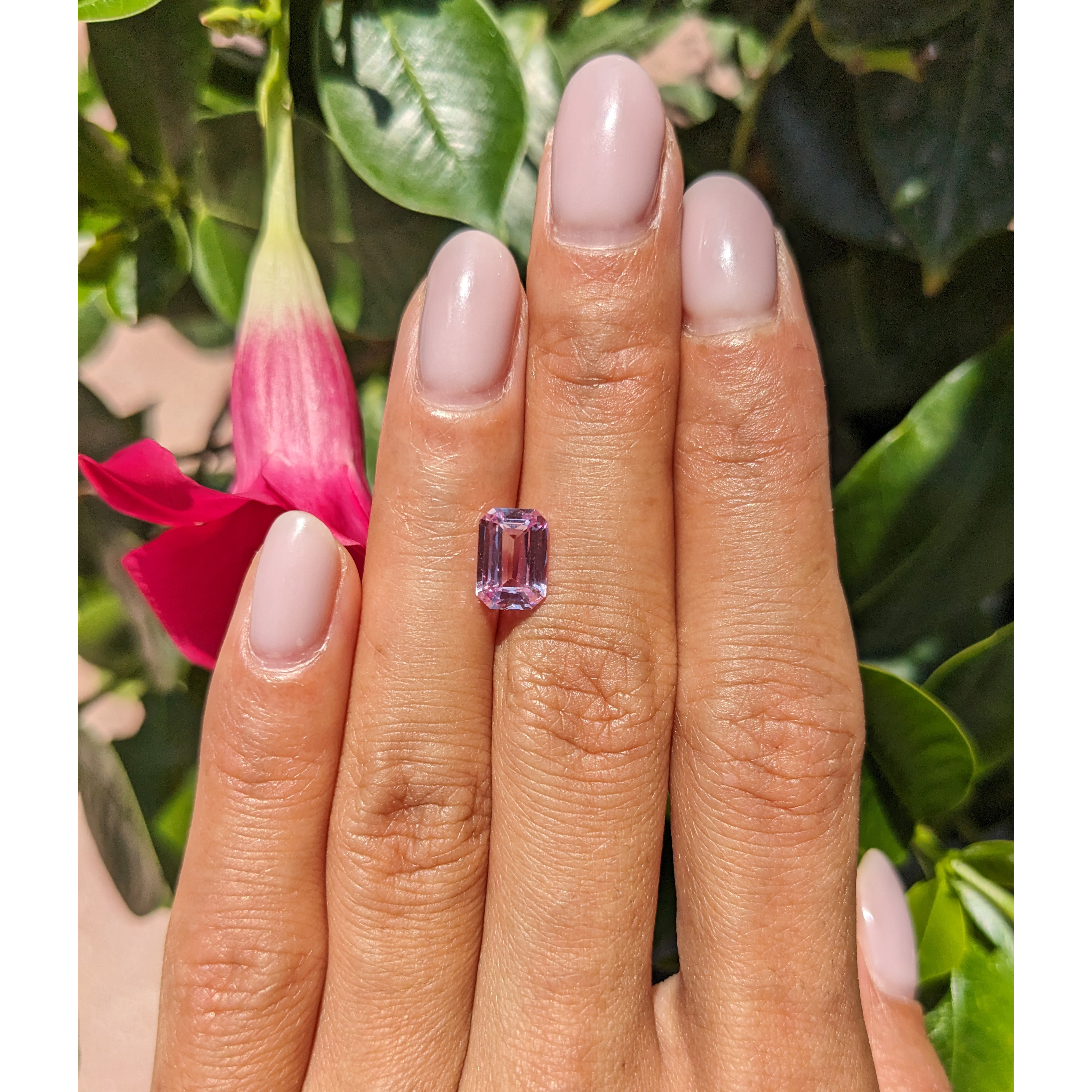Loose Pink Sapphire - Emerald Cut 2.11 Ct. - #S28630 | The Natural