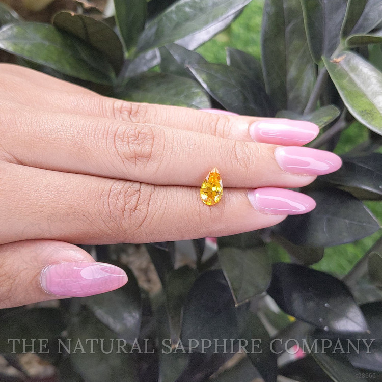 1.66 Ct. Orangish Yellow Sapphire from Ceylon (Sri Lanka)