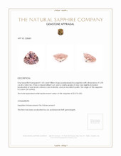Jewelry Appraisal
