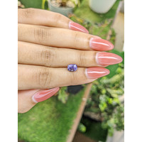 1.71 Ct. Purple Sapphire from Ceylon (Sri Lanka) Life Style