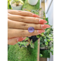 14.54 Ct. Purple Star Sapphire from Ceylon (Sri Lanka) Life Style