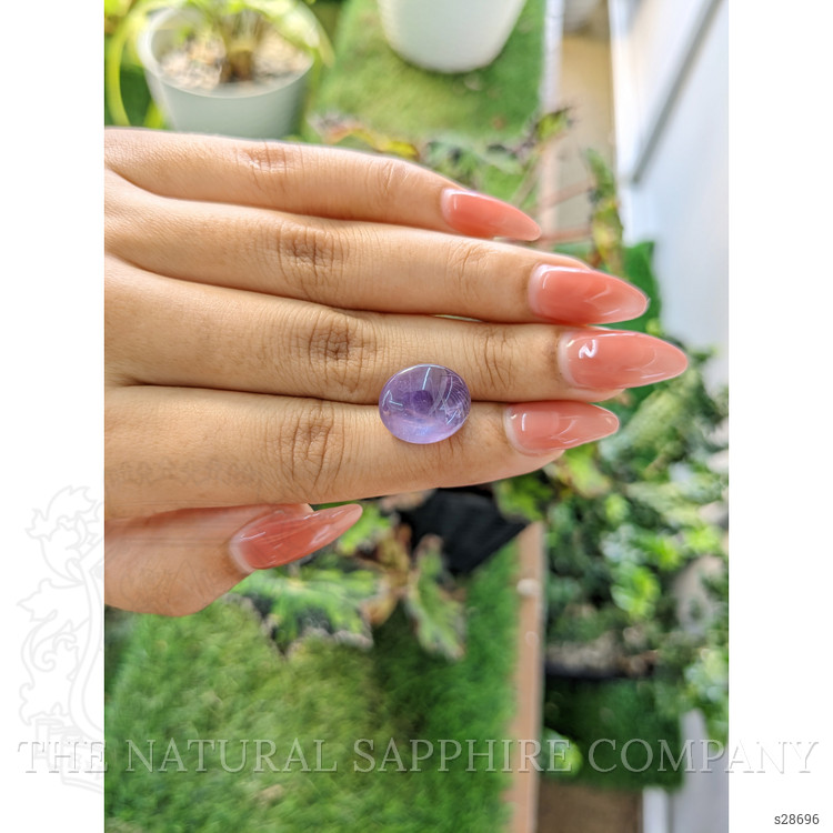 14.54 Ct. Purple Star Sapphire from Ceylon (Sri Lanka)