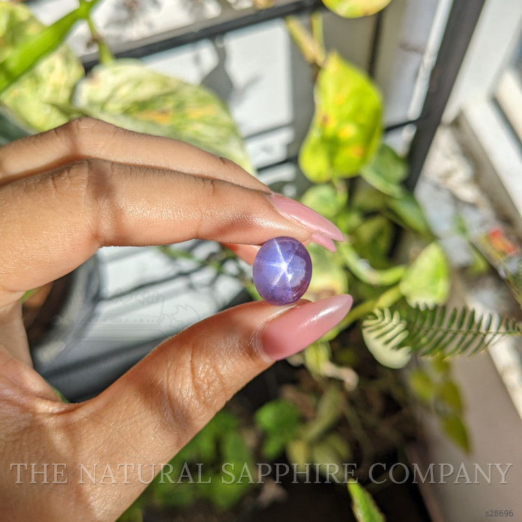 14.54 Ct. Purple Star Sapphire from Ceylon (Sri Lanka)