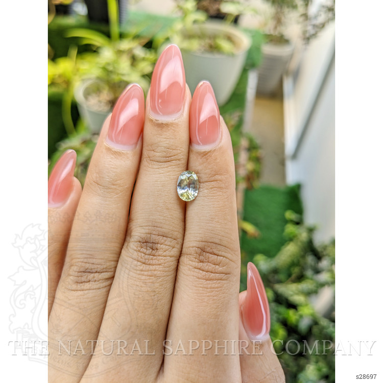 1.50 Ct. Bi Color Sapphire from Ceylon (Sri Lanka)