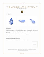 1.11 Ct. Blue Sapphire from Ceylon (Sri Lanka) Appraisal