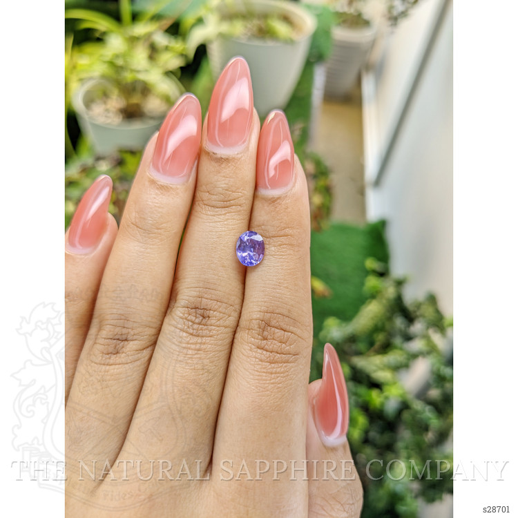 1.45 Ct. Violet Sapphire from Ceylon (Sri Lanka)