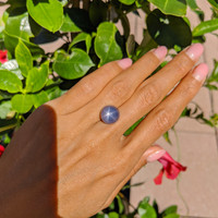 15.64 Ct. Blue Star Sapphire from Ceylon (Sri Lanka) Life Style