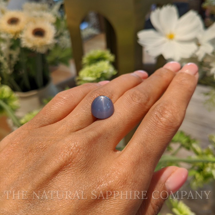 15.64 Ct. Blue Star Sapphire from Ceylon (Sri Lanka)