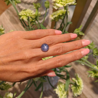 15.64 Ct. Blue Star Sapphire from Ceylon (Sri Lanka) Life Style