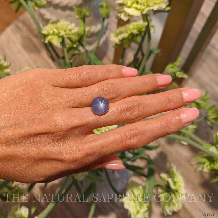 15.64 Ct. Blue Star Sapphire from Ceylon (Sri Lanka)