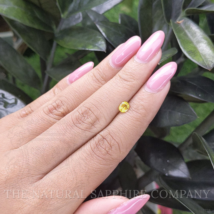 0.45 Ct. Yellow Sapphire from Ceylon (Sri Lanka)