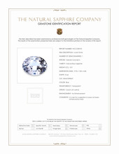 3.01 Ct. Blue Sapphire from Ceylon (Sri Lanka) Scan Report
