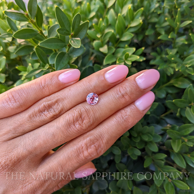 1.59 Ct. Pink Sapphire from Ceylon (Sri Lanka)