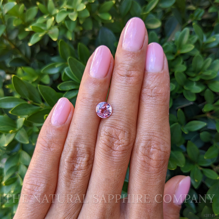 1.59 Ct. Pink Sapphire from Ceylon (Sri Lanka)