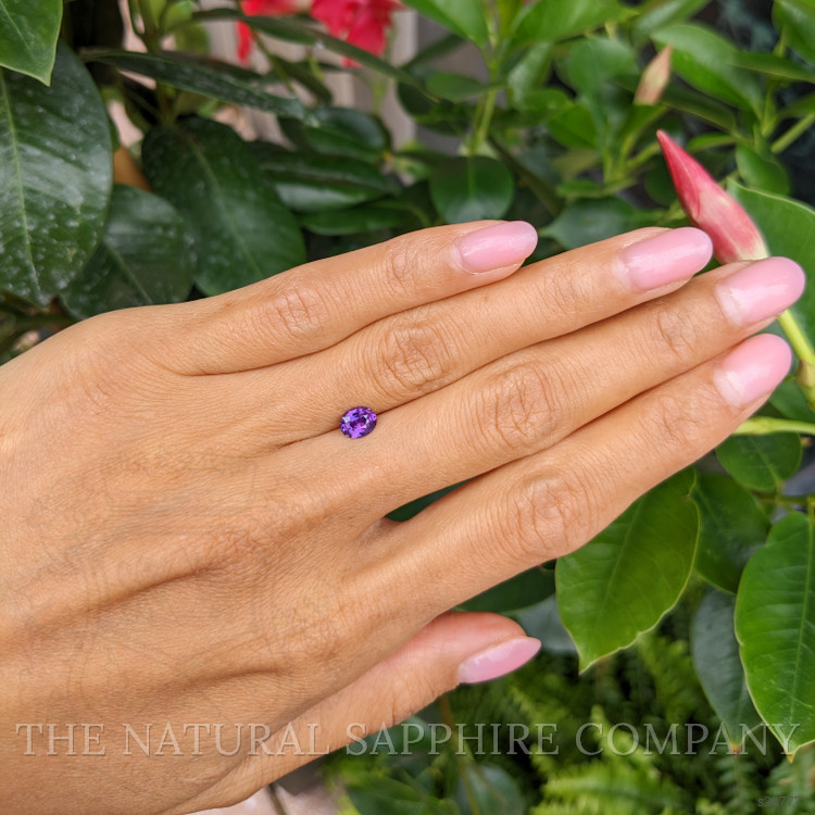 0.74 Ct. Purple Sapphire from Ceylon (Sri Lanka)
