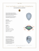 Jewelry 3 D Scan Report