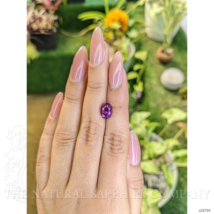 3.51 Ct. Pinkish Purple Sapphire from Ceylon (Sri Lanka)