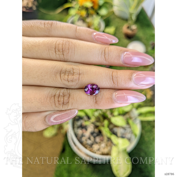 3.51 Ct. Pinkish Purple Sapphire from Ceylon (Sri Lanka)