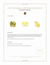 4.17 Ct. Yellow Sapphire from Ceylon (Sri Lanka) Appraisal