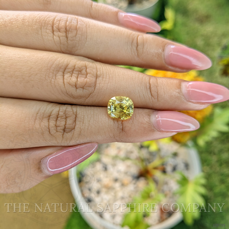 4.17 Ct. Yellow Sapphire from Ceylon (Sri Lanka)