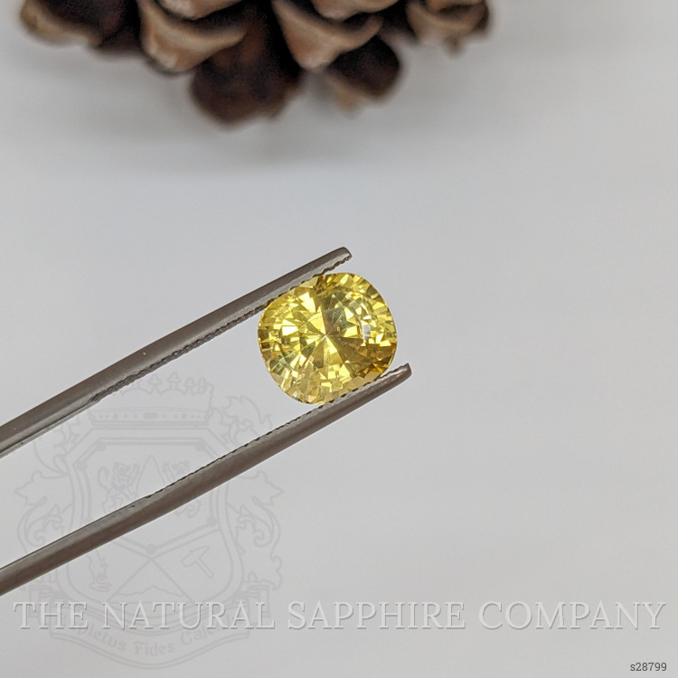 4.17 Ct. Yellow Sapphire from Ceylon (Sri Lanka)