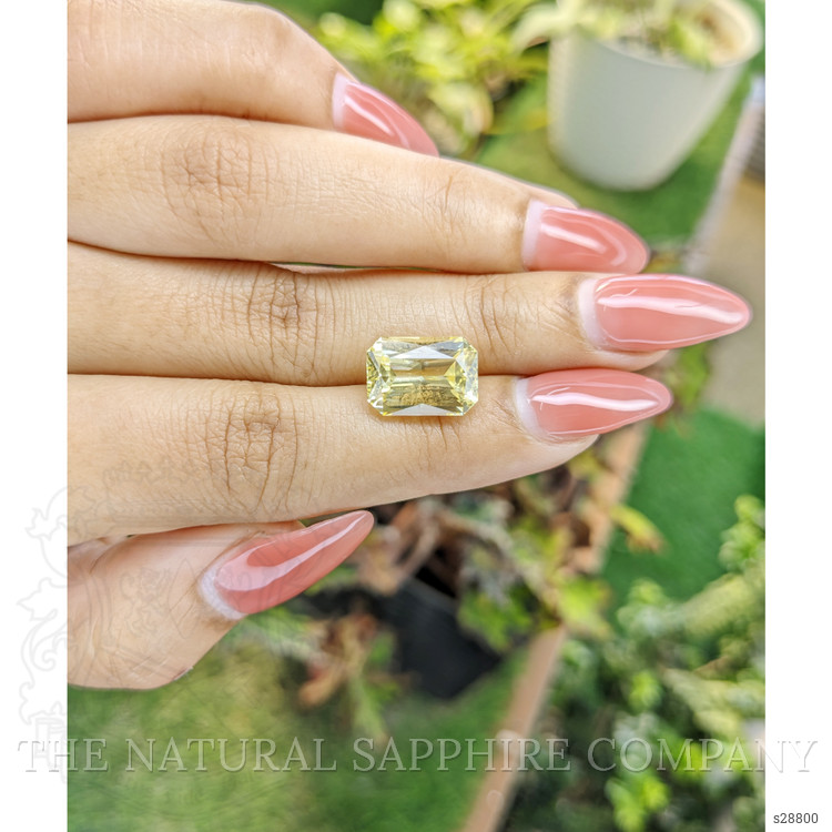 7.92 Ct. Yellow Sapphire from Ceylon (Sri Lanka)