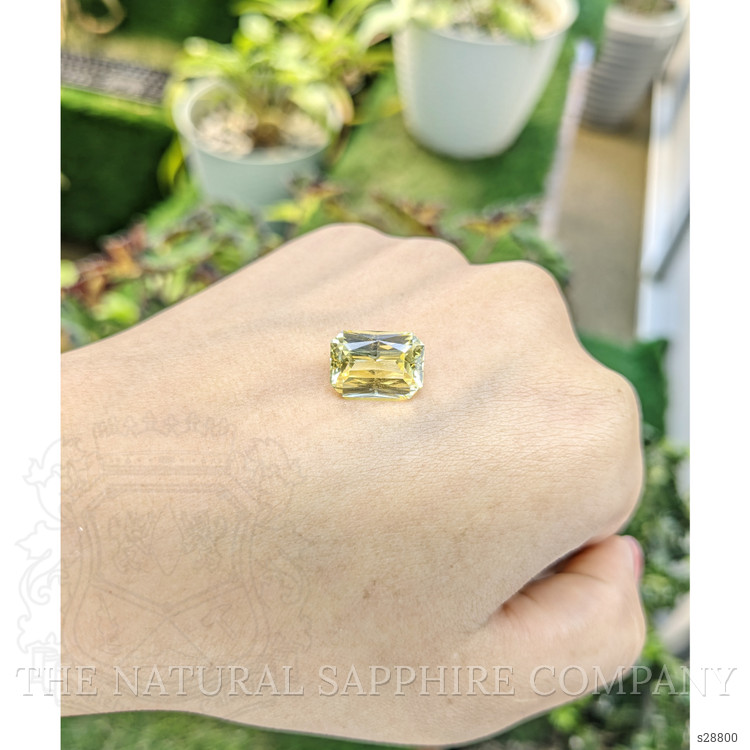7.92 Ct. Yellow Sapphire from Ceylon (Sri Lanka)