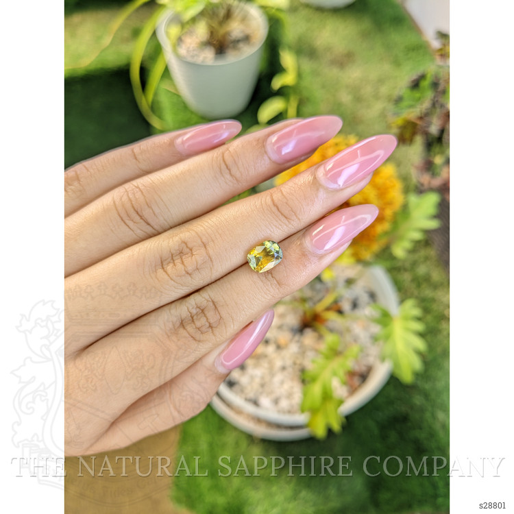 2.58 Ct. Bi Color Sapphire from Ceylon (Sri Lanka)