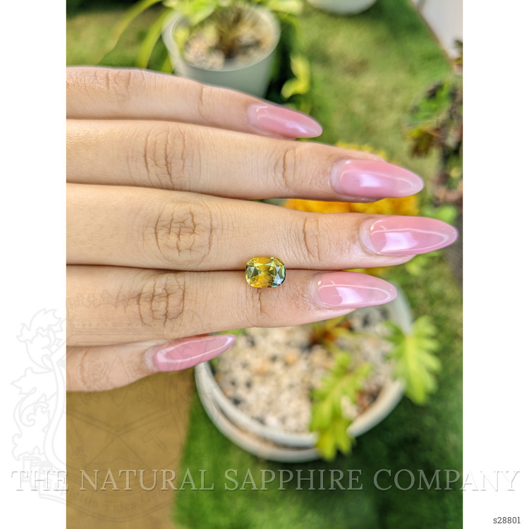 2.58 Ct. Bi Color Sapphire from Ceylon (Sri Lanka)