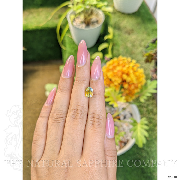 2.58 Ct. Bi Color Sapphire from Ceylon (Sri Lanka)