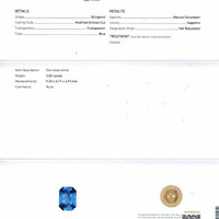 3.02 Ct. Blue Sapphire from Ceylon (Sri Lanka) Scan Report
