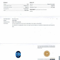 3.06 Ct. Blue Sapphire from Ceylon (Sri Lanka) Scan Report
