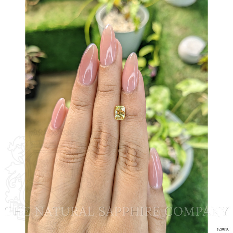 1.21 Ct. Yellow Sapphire from Ceylon (Sri Lanka)