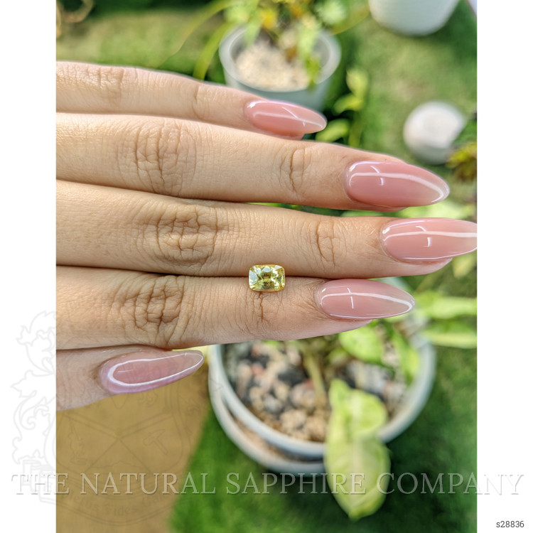 1.21 Ct. Yellow Sapphire from Ceylon (Sri Lanka)