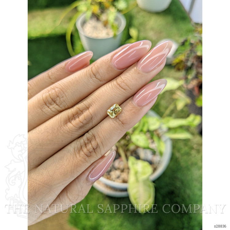 1.21 Ct. Yellow Sapphire from Ceylon (Sri Lanka)