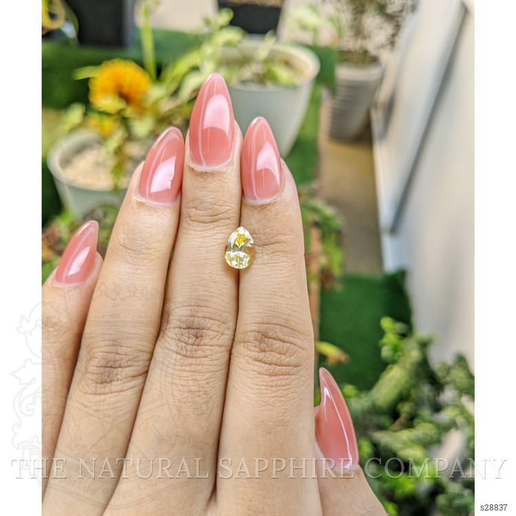 1.75 Ct. Yellow Sapphire from Ceylon (Sri Lanka)