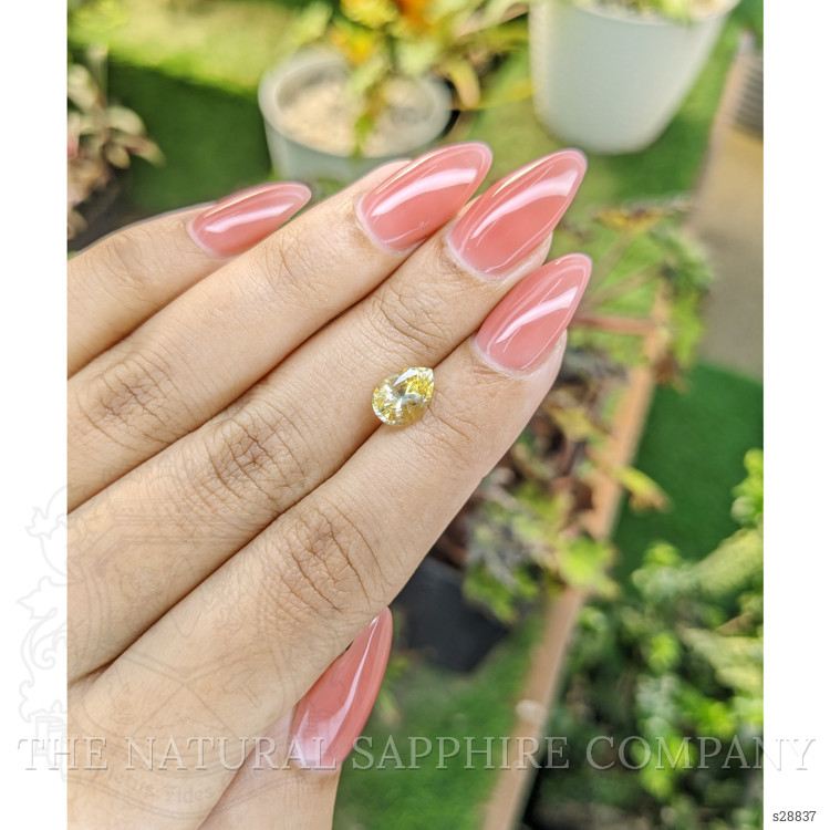 1.75 Ct. Yellow Sapphire from Ceylon (Sri Lanka)