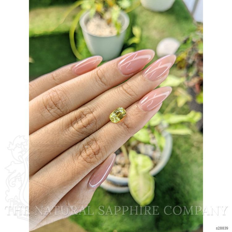 2.01 Ct. Yellow Sapphire from Ceylon (Sri Lanka)