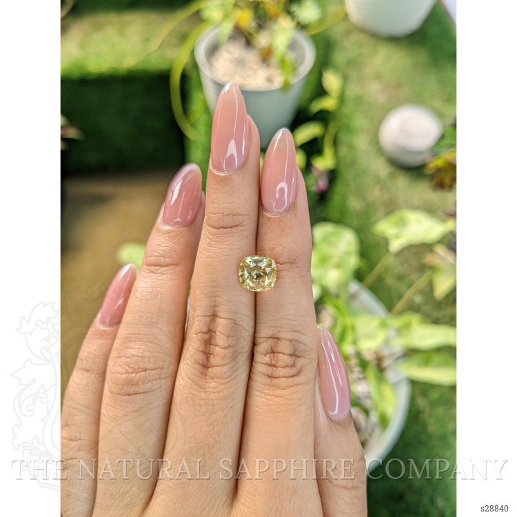 2.67 Ct. Yellow Sapphire from Ceylon (Sri Lanka)