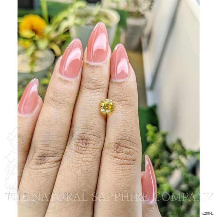 1.73 Ct. Yellow Sapphire from Ceylon (Sri Lanka)