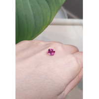 1.62 Ct. Pink Sapphire from Ceylon (Sri Lanka) Life Style
