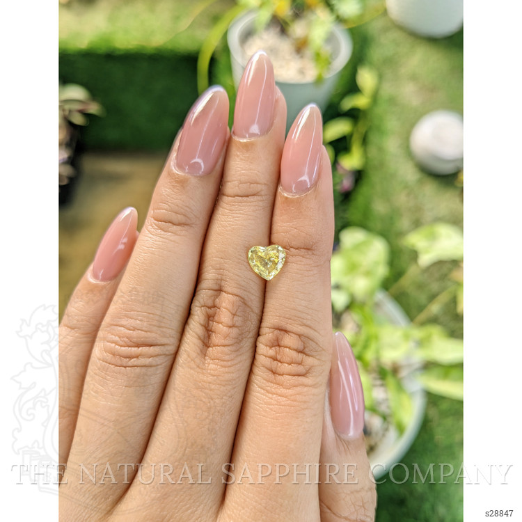 1.49 Ct. Yellow Sapphire from Ceylon (Sri Lanka)