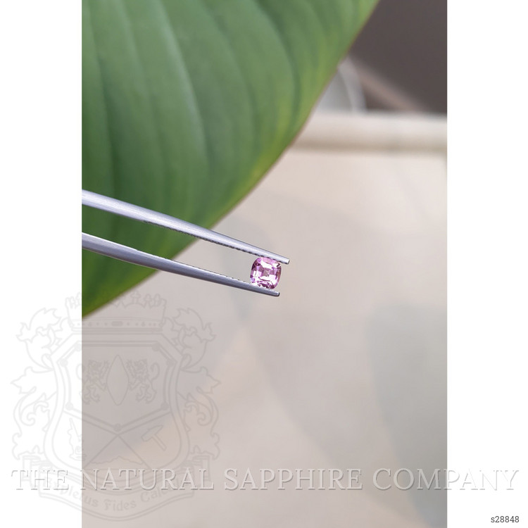 0.39 Ct. Pink Sapphire from Ceylon (Sri Lanka)