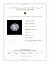 7.46 Ct. Grey Star Sapphire from Ceylon (Sri Lanka) Scan Report