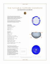 Jewelry 3 D Scan Report