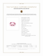 Jewelry Scan Report