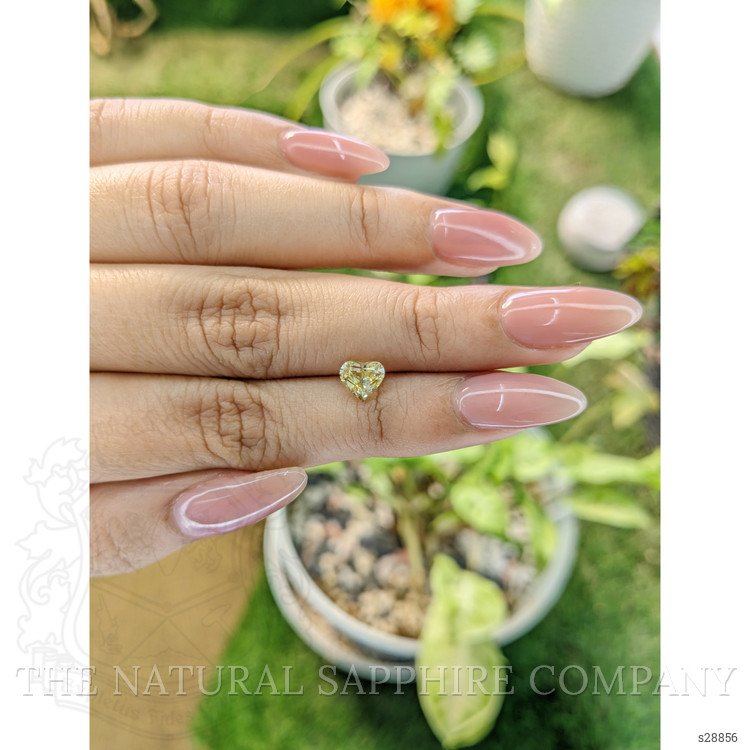 1.33 Ct. Yellow Sapphire from Ceylon (Sri Lanka)