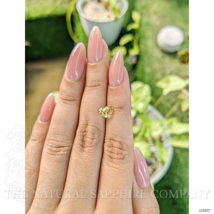 1.37 Ct. Yellow Sapphire from Ceylon (Sri Lanka)